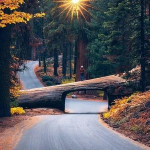 Meet your Posher, Anita